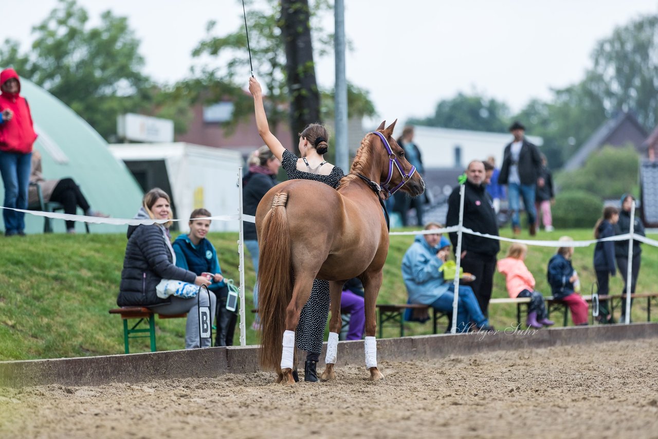 Bild 129 - Pony Akademie Turnier